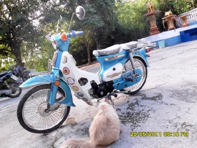 Name:  zpdvrX254225-02.jpg
Views: 524
Size:  69.3 KB