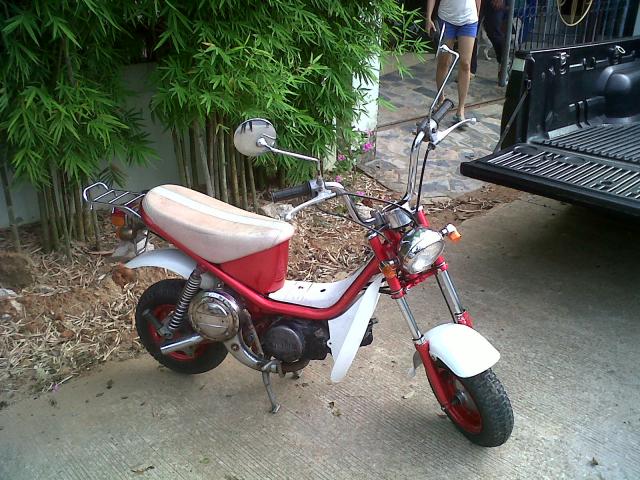 Name:  IMG00645-20110612-1721.jpg
Views: 4118
Size:  76.1 KB