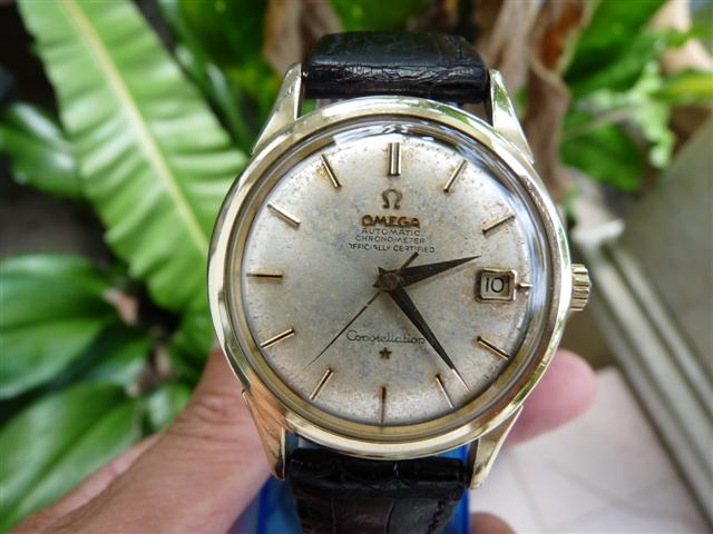 Name:  P1130524 (Small).JPG
Views: 3870
Size:  52.2 KB