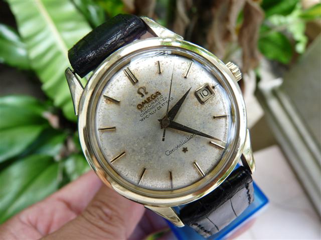 Name:  P1130528 (Small).JPG
Views: 3783
Size:  55.5 KB