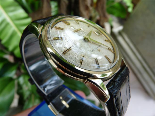 Name:  P1130536 (Small).JPG
Views: 3642
Size:  50.4 KB