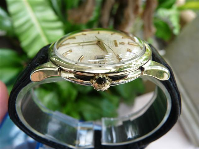 Name:  P1130559 (Small).JPG
Views: 3663
Size:  45.8 KB