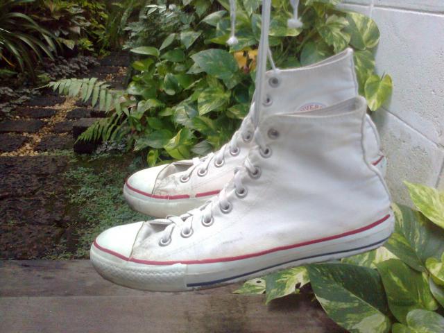 Name:  Photo0329.jpg
Views: 437
Size:  51.2 KB