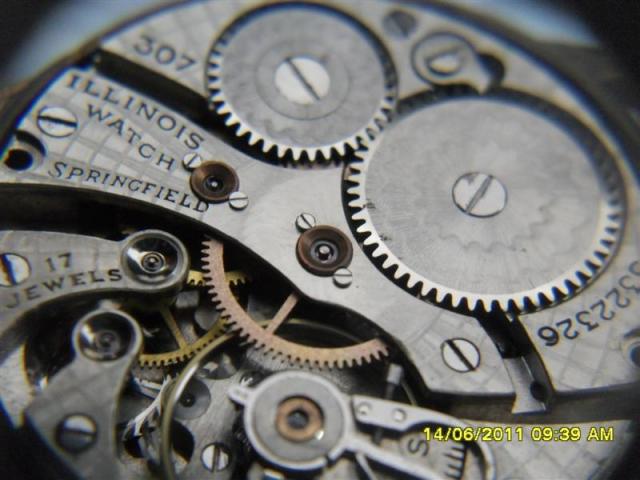 Name:  SDC14098 (Medium).jpg
Views: 852
Size:  44.6 KB