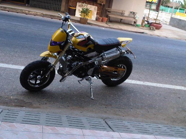 Name:  Copy of IMG00330-20110128-1756.jpg
Views: 1957
Size:  51.2 KB