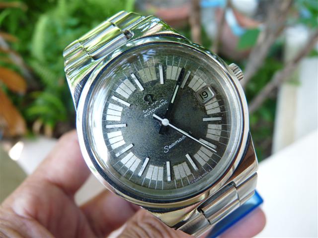 Name:  P1130994 (Small).JPG
Views: 3813
Size:  58.7 KB