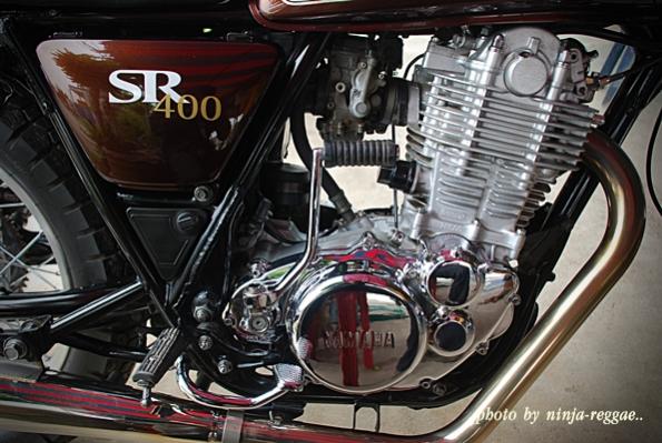 Name:  dsc_0246.jpg
Views: 859
Size:  53.6 KB