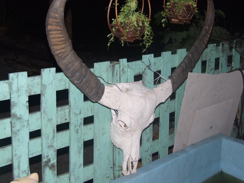 Name:  DSCF1530.jpg
Views: 100
Size:  89.6 KB