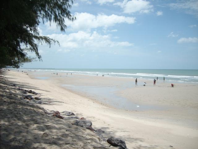 Name:  SANY3636.jpg
Views: 1106
Size:  37.3 KB