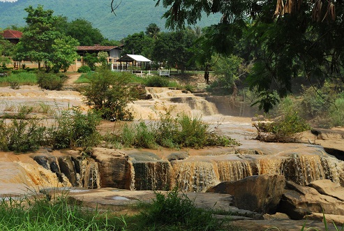 Name:  DSC_2582.jpg
Views: 2303
Size:  140.4 KB