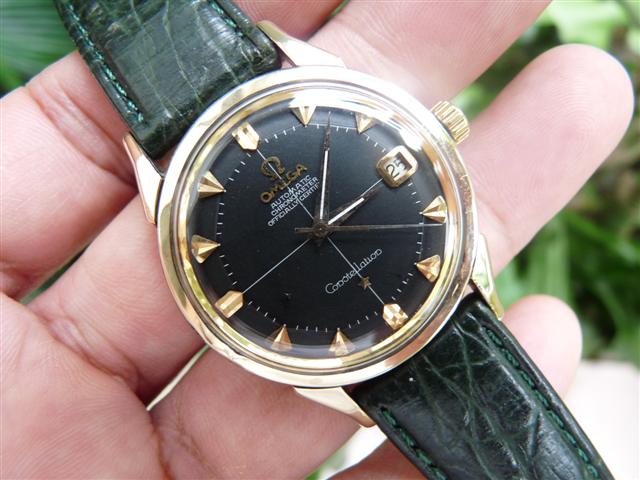 Name:  P1140685 (Small).JPG
Views: 3755
Size:  57.1 KB