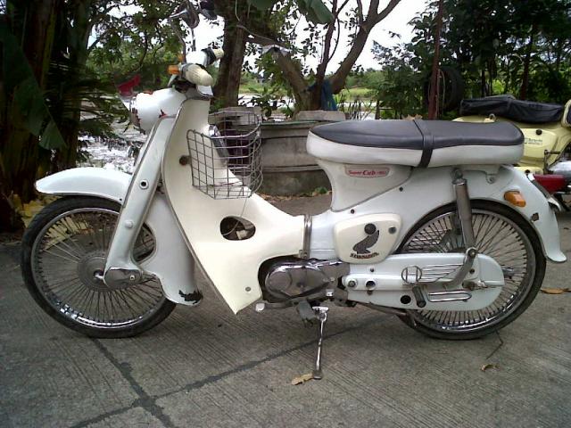 Name:  Copy of IMG00279-20110624-1253.jpg
Views: 145
Size:  67.9 KB