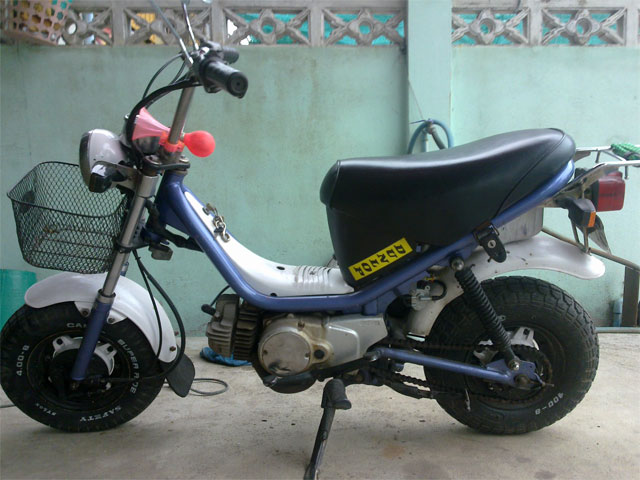 Name:  chippy1.jpg
Views: 365
Size:  69.5 KB