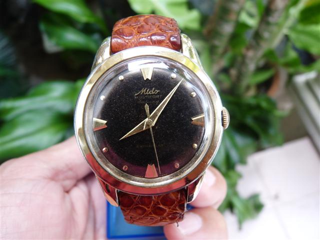 Name:  P1140775 (Small).JPG
Views: 3584
Size:  49.3 KB