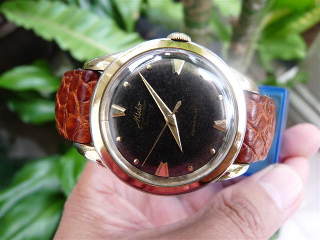 Name:  P1140786 (Small).JPG
Views: 3499
Size:  51.0 KB