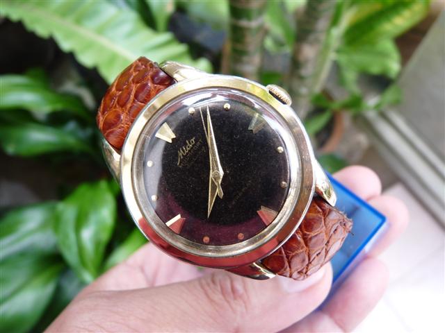 Name:  P1140780 (Small).JPG
Views: 3494
Size:  50.5 KB