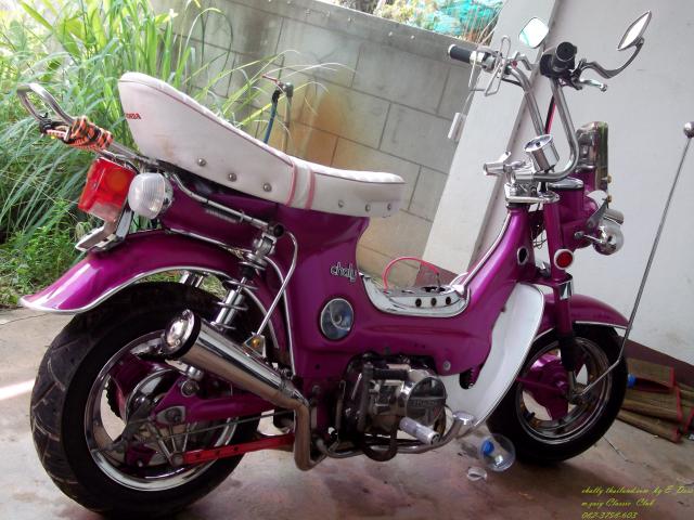 Name:  DSCF0390.jpg
Views: 54
Size:  60.4 KB