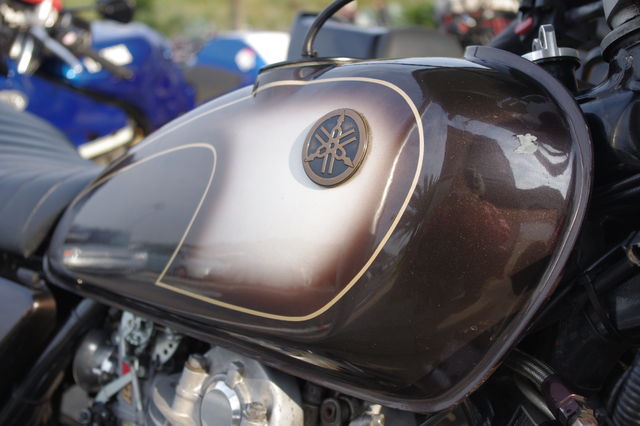 Name:  f0217828_22153717.jpg
Views: 459
Size:  44.1 KB