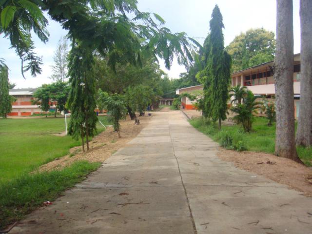 Name:  DSC05575.jpg
Views: 162
Size:  50.6 KB