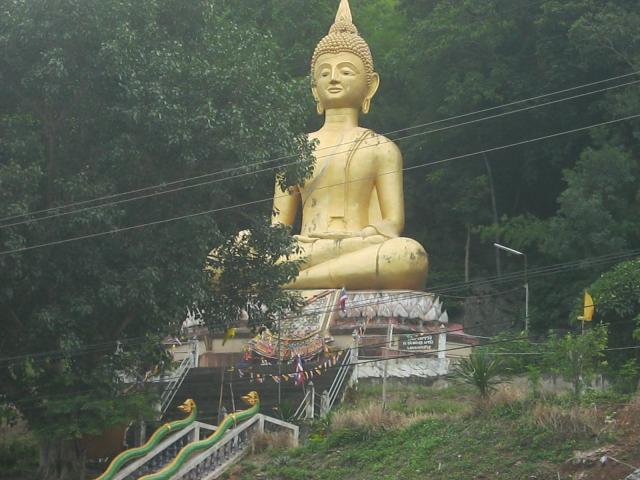 Name:  IMG_0321.jpg
Views: 457
Size:  50.5 KB