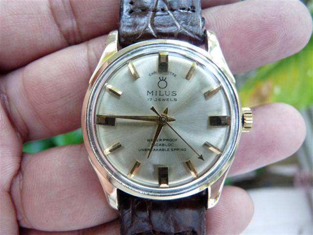 Name:  P1150170 (Small).JPG
Views: 3570
Size:  50.5 KB