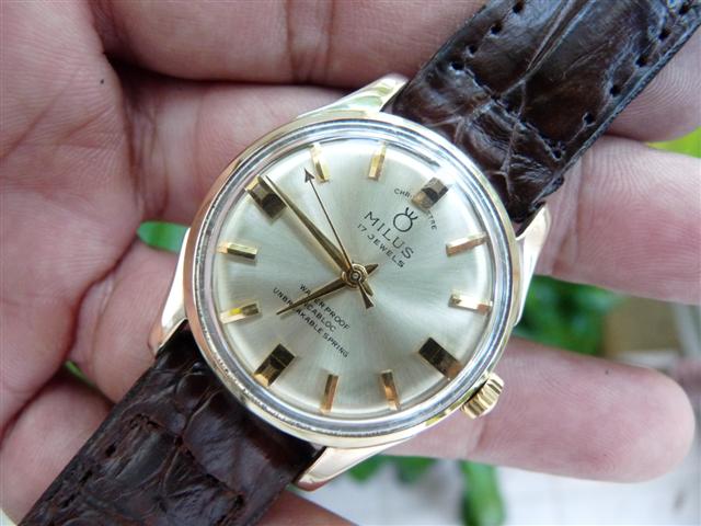 Name:  P1150174 (Small).JPG
Views: 3342
Size:  53.3 KB