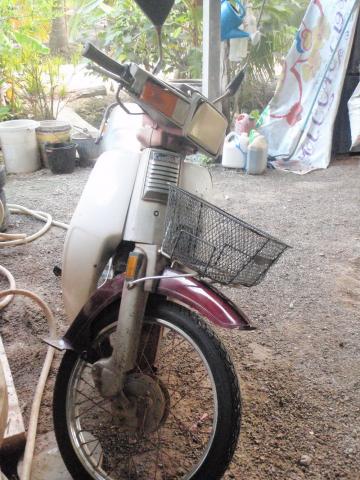 Name:  P7062180.jpg
Views: 488
Size:  42.4 KB