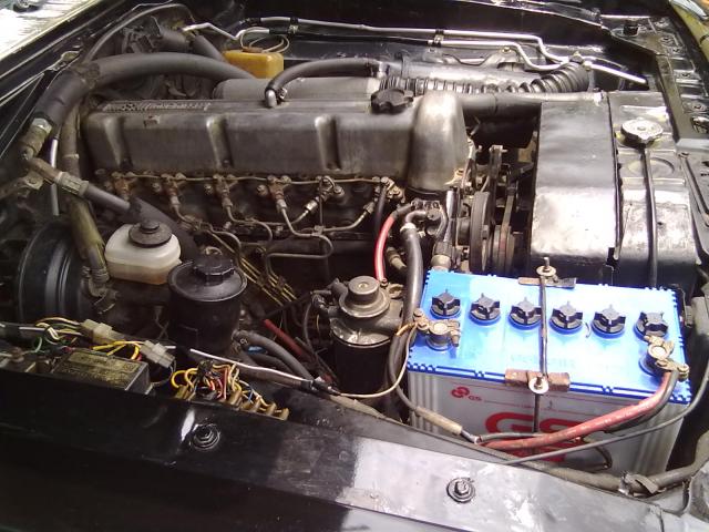 Name:  10042011143.jpg
Views: 3806
Size:  61.1 KB