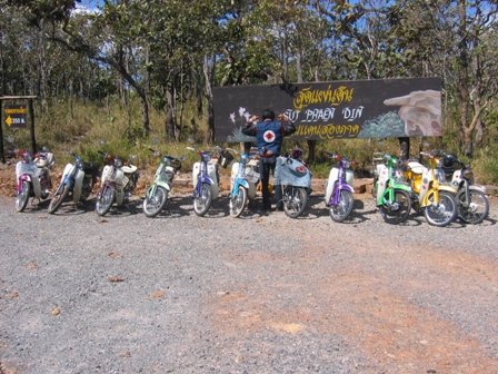 Name:  IMG_0296.JPG
Views: 207
Size:  122.1 KB