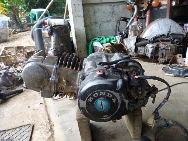 Name:  P1010055.jpg
Views: 5903
Size:  61.2 KB