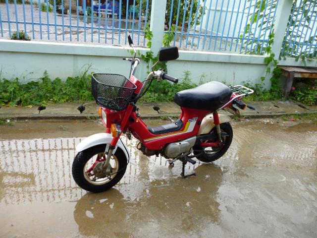 Name:  P1000009.jpg
Views: 293
Size:  66.7 KB