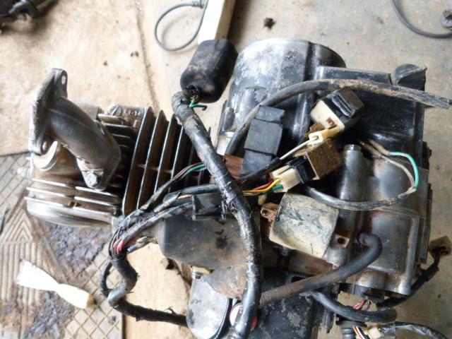 Name:  P1010056.jpg
Views: 3019
Size:  58.1 KB