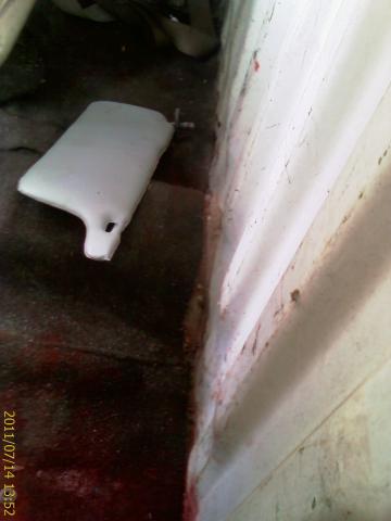 Name:  IMAGE_171.jpg
Views: 793
Size:  17.4 KB