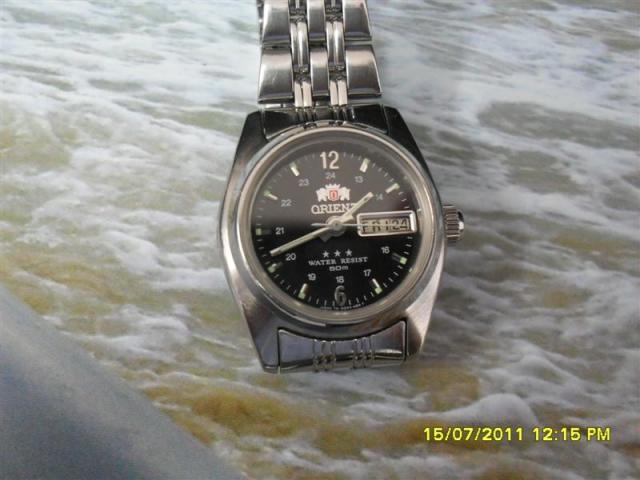 Name:  SDC14355 (Medium).jpg
Views: 1168
Size:  39.7 KB
