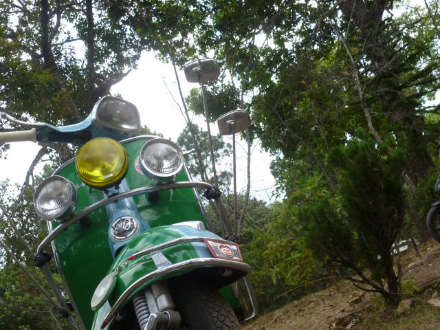 Name:  P1000345.jpg
Views: 379
Size:  77.5 KB