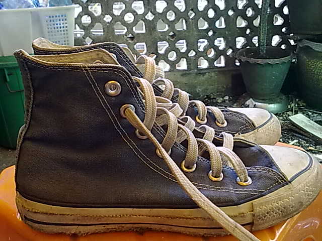 Name:  09072011382.jpg
Views: 814
Size:  57.3 KB