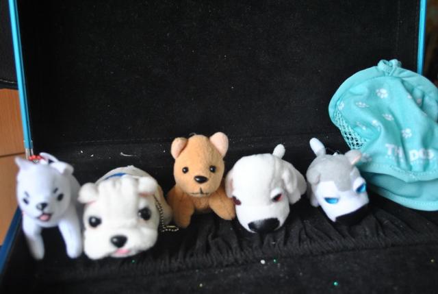 Name:  DSC_0176_resize.jpg
Views: 704
Size:  29.8 KB