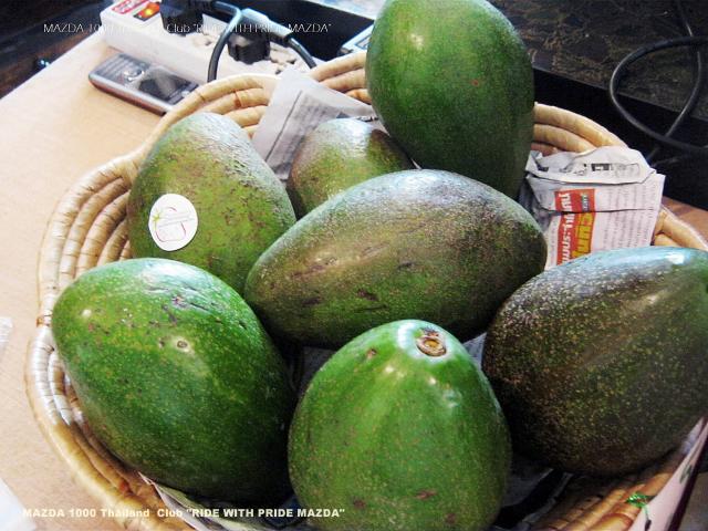 Name:  IMG_5608.jpg
Views: 640
Size:  59.9 KB