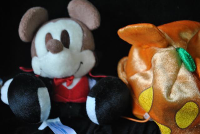 Name:  DSC_0195_resize.jpg
Views: 554
Size:  29.2 KB