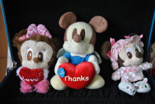 Name:  DSC_0197_resize.jpg
Views: 376
Size:  33.1 KB