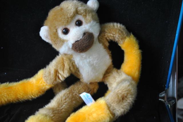 Name:  DSC_0207_resize.jpg
Views: 386
Size:  30.2 KB