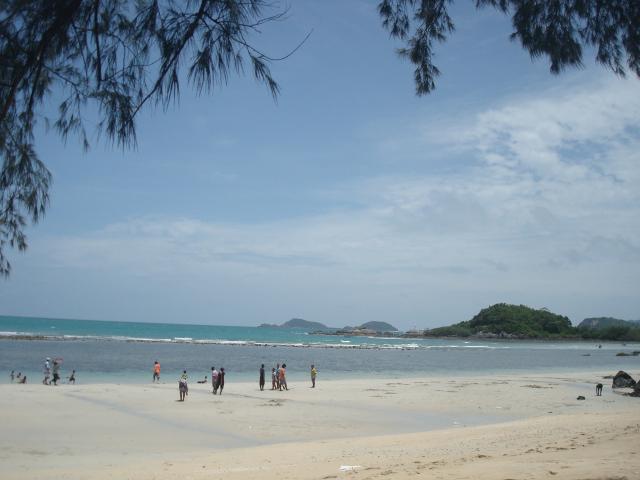 Name:  DSC04631.jpg
Views: 279
Size:  31.8 KB