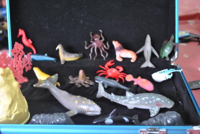 Name:  DSC_0240_resize.jpg
Views: 294
Size:  36.5 KB