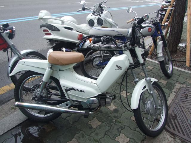 Name:  2011_0625NFRDI-TaeAn0081.jpg
Views: 137
Size:  60.4 KB
