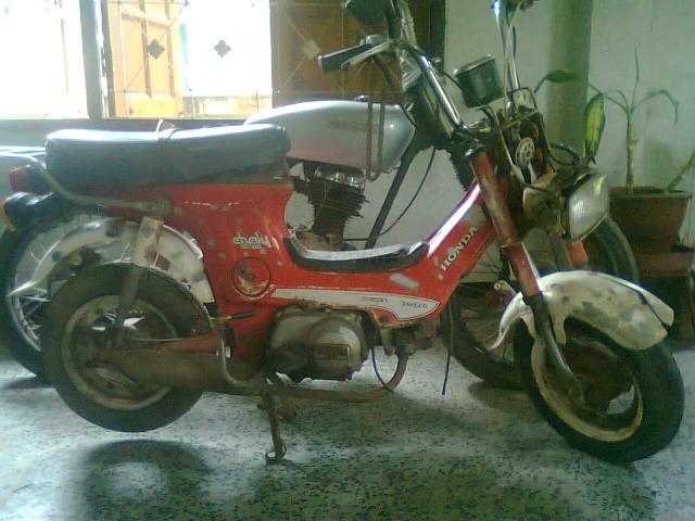 Name:  Photo0180.jpg
Views: 241
Size:  47.8 KB