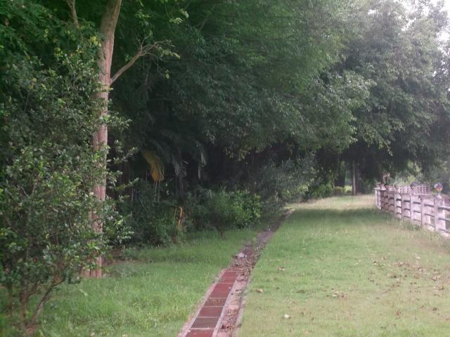 Name:  DSCF1350.jpg
Views: 207
Size:  55.8 KB