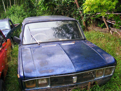 Name:  DSCF1353.JPG
Views: 451
Size:  81.2 KB