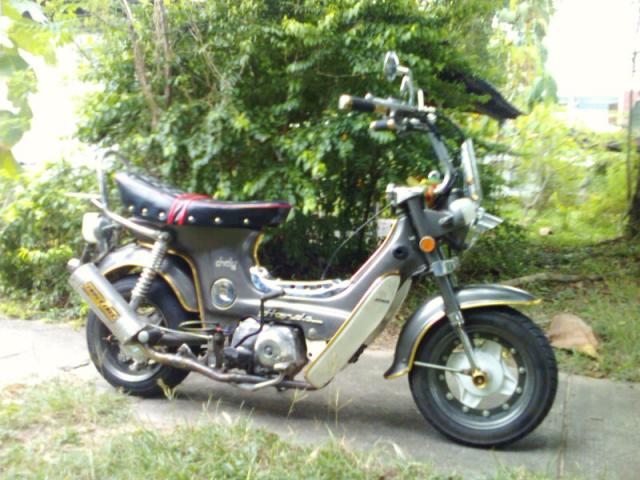 Name:  IMG0532A.jpg
Views: 133
Size:  58.2 KB