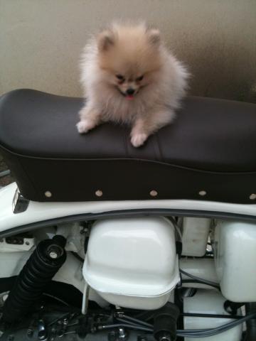 Name:  JPG (2).jpg
Views: 162
Size:  18.2 KB