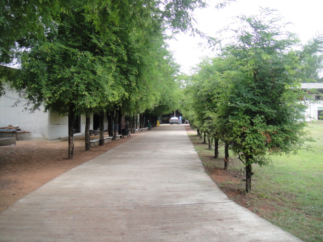 Name:  DSC03815.JPG
Views: 318
Size:  144.1 KB